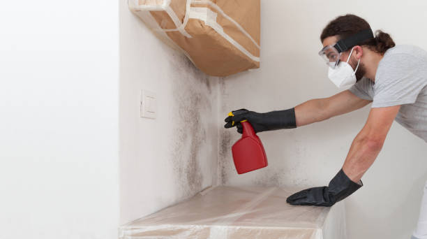 Professional Attic Mold Remediation technician working in Butler, NJ