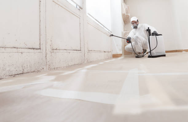 24/7 Emergency Attic Mold Remediation experts in Butler, NJ