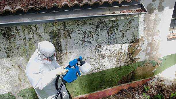 Top rated local Attic Mold Remediation specialists in Butler, NJ